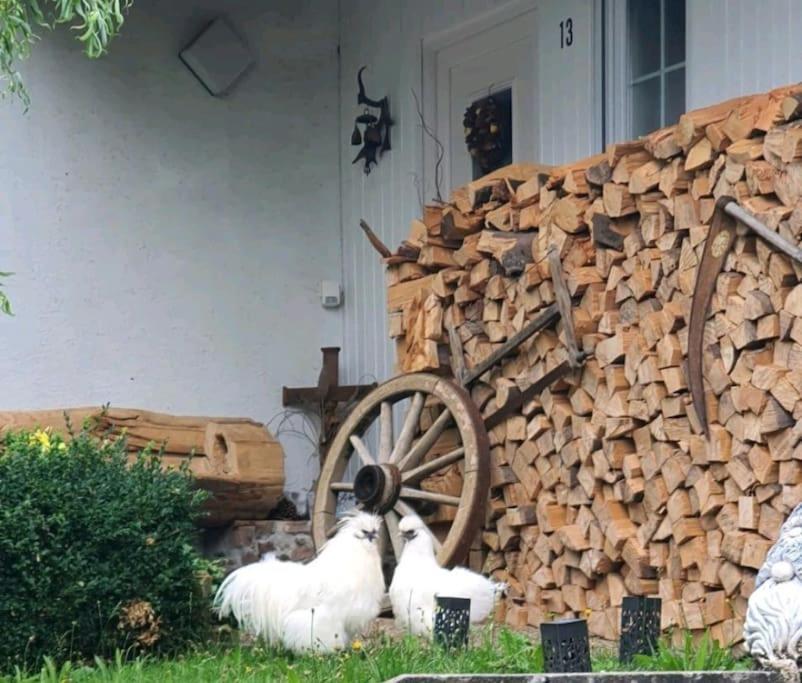 Cozy And Quite Apartment Near Black Forest Schoemberg  Exterior photo